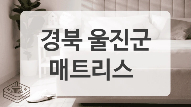 경북 울진군
매트리스