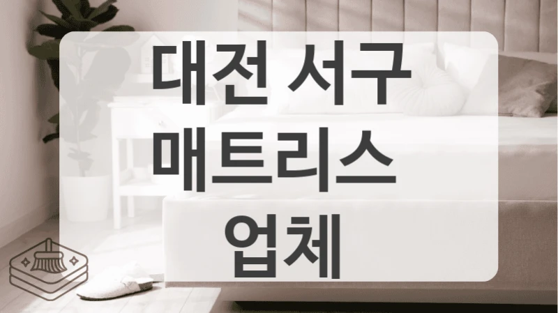 반려동물 털 제거 대전 서구 전문 매트리스 세척 업체
