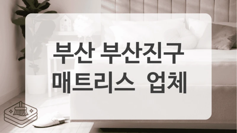 부산 부산진구
매트리스  업체