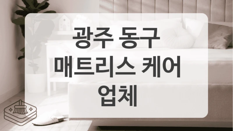 광주 동구
매트리스 케어 업체
