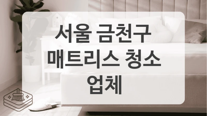 서울 금천구
매트리스 청소 업체