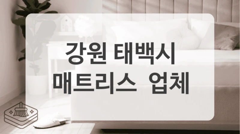 강원 태백시
매트리스  업체