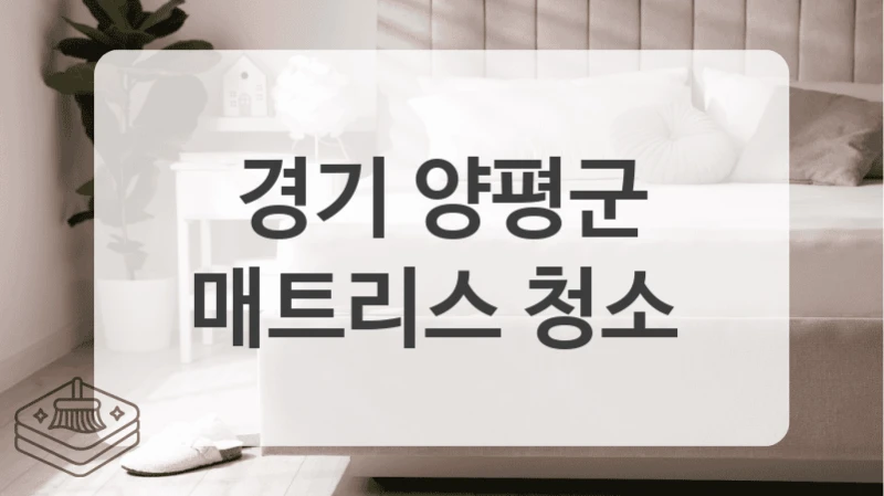 경기 양평군
매트리스 청소
