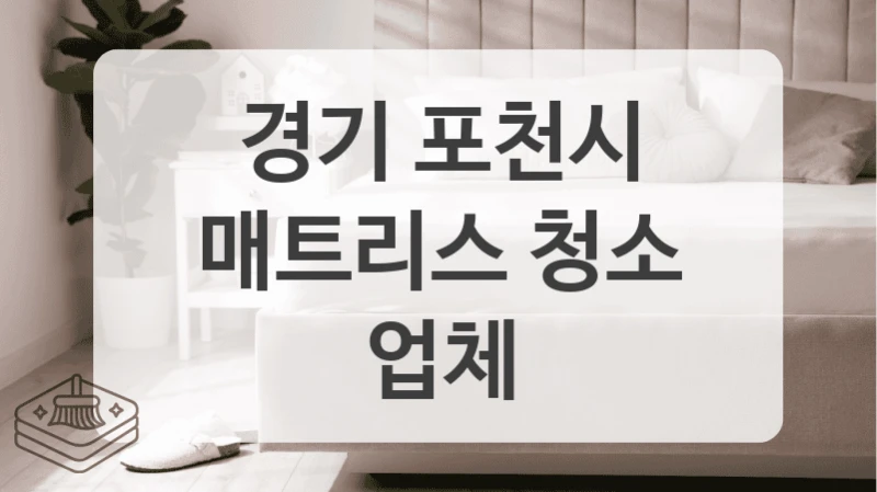 경기 포천시
매트리스 청소 업체