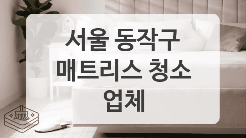 서울 동작구
매트리스 청소 업체
