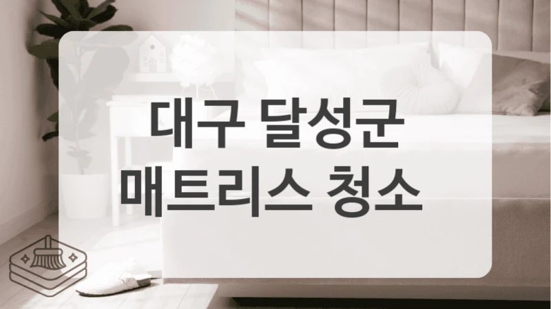 대구 달성군
매트리스 청소