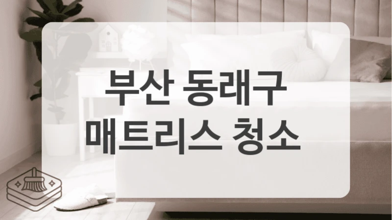 부산 동래구
매트리스 청소