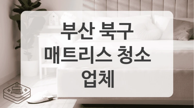 부산 북구
매트리스 청소 업체