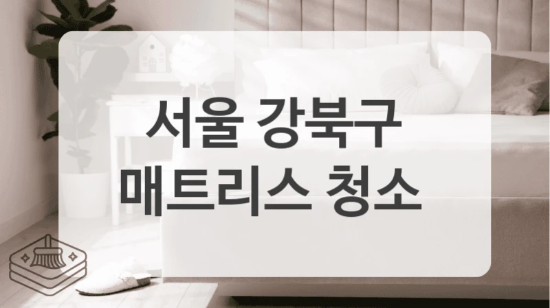 서울 강북구
매트리스 청소