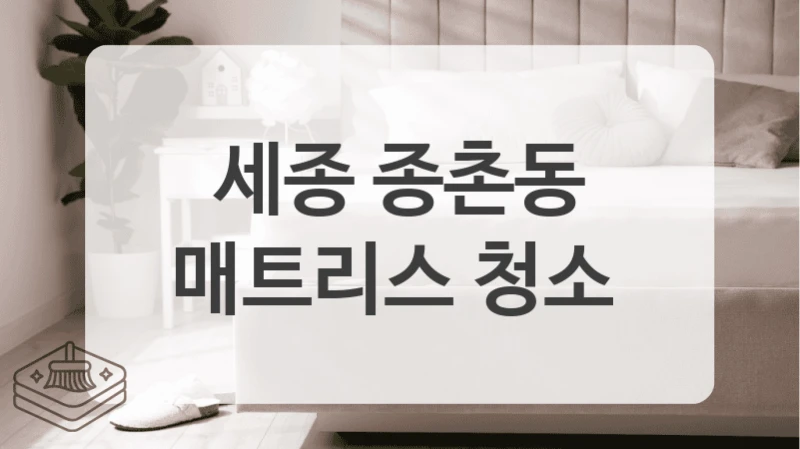 세종 종촌동
매트리스 청소