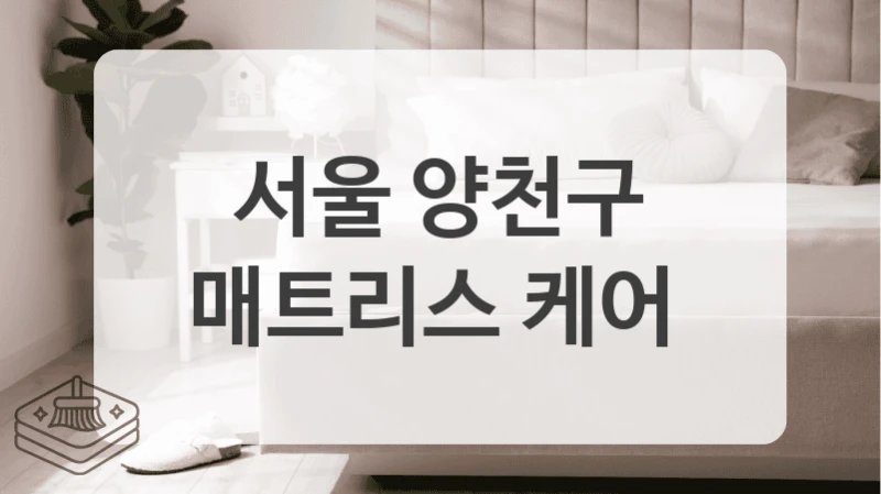 서울 양천구
매트리스 케어