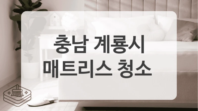 첨단 장비로 달라지는 우리 침대 (충남 계룡시 매트리스청소 업체 추천)