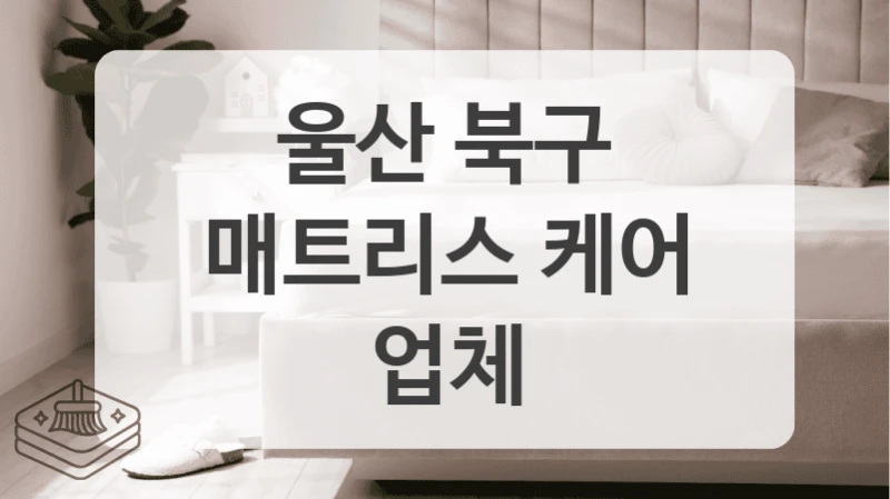 울산 북구
매트리스 케어 업체