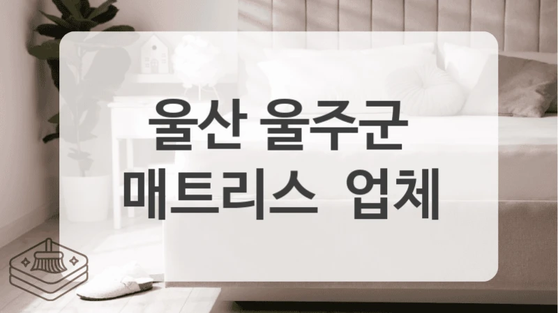 울산 울주군
매트리스  업체
