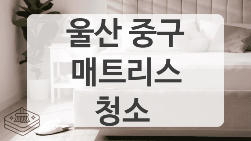울산 중구
매트리스 청소