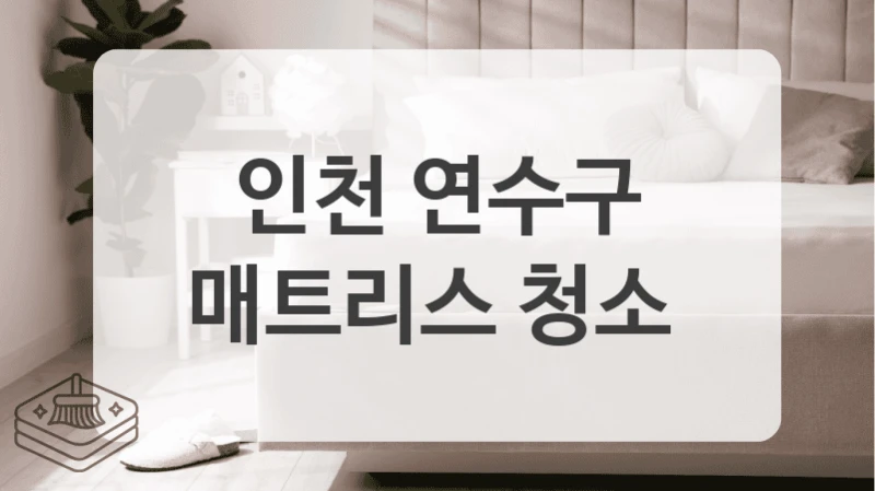 인천 연수구
매트리스 청소