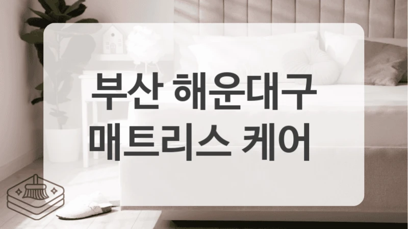 부산 해운대구
매트리스 케어
