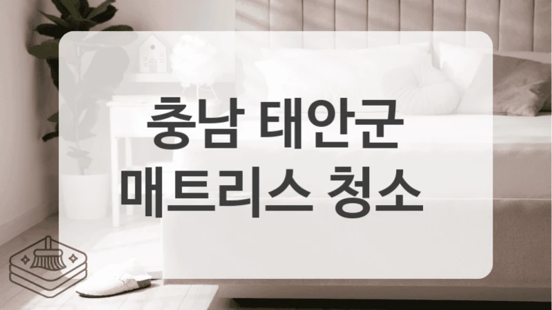 방문 견적 + 전문 케어 충남 태안군 매트리스 청소 및 살균