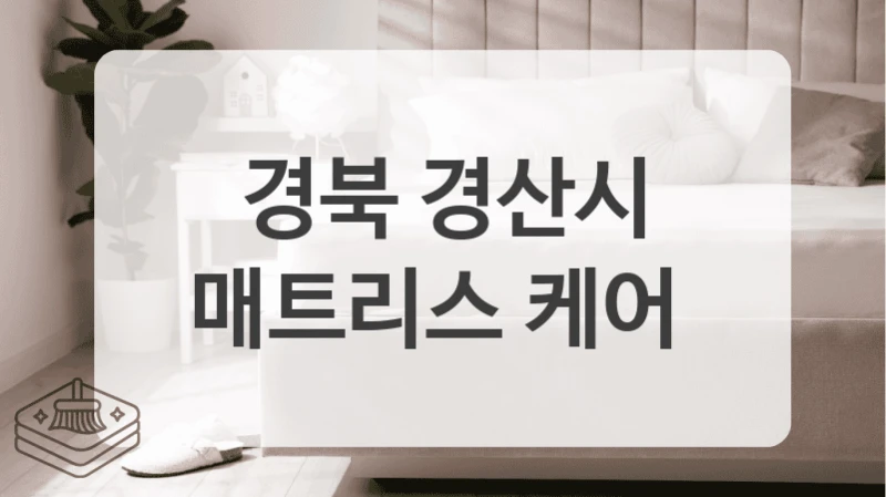 업체 선정 고민된다면 경북 경산시 매트리스 청소 전문 업체와 상담하세요