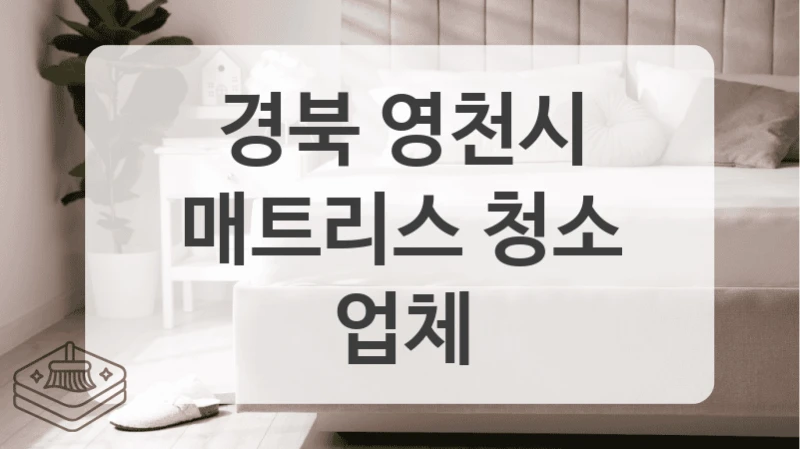 아토피 예방을 위한 아이방 침대 청소 경북 영천시 매트리스세척 전문 시공