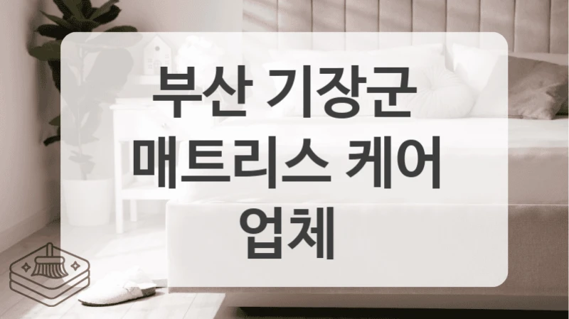 부산 기장군 매트리스 청소 견적 총정리