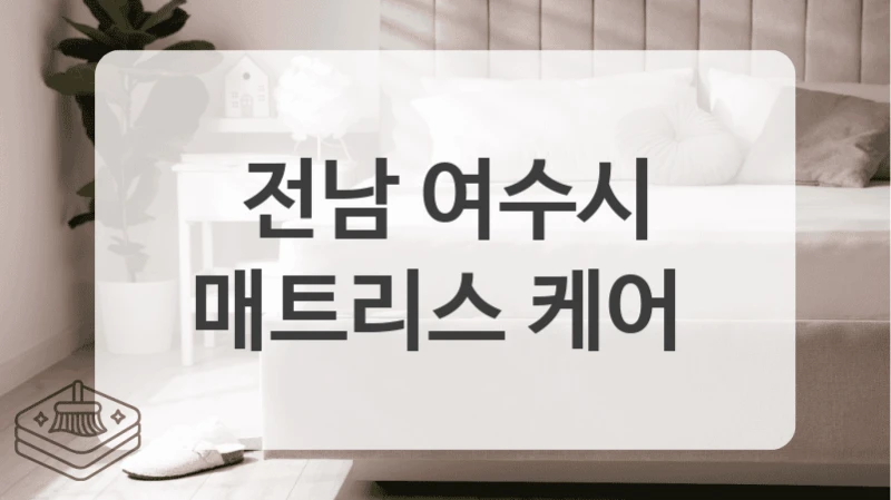 출장 청소 잘하는 곳 찾으세요? 전남 여수시 매트리스 청소 예약까지 한번에!